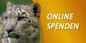 Online spenden Online spenden