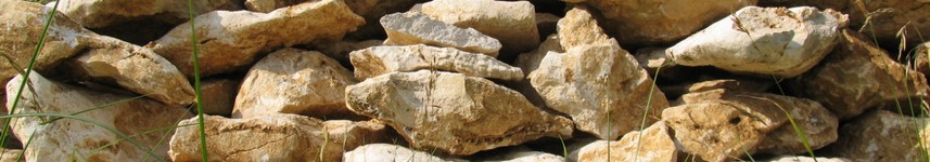 Headerbild Headerbild